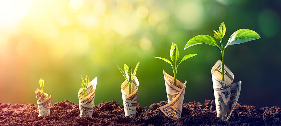 growing your money locally header image