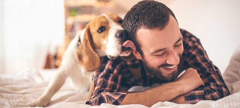 paying for pets header image